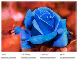 WebExpo : Su p&aacute;gina web